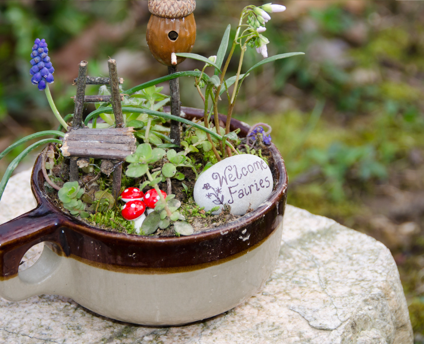 Green Plants in a Fairy Garden