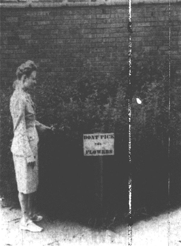 Woman standing in front of what remains of Sloan Park, Daily Nonpareil August 8, 1948