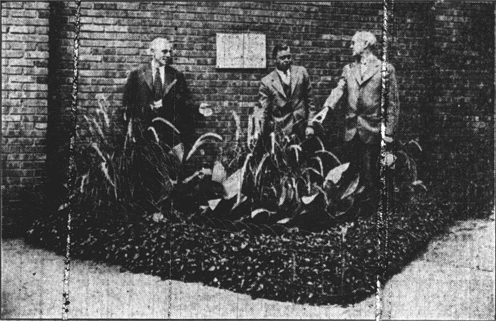 Photo of park commissioners standing in Sloan Park, 1934