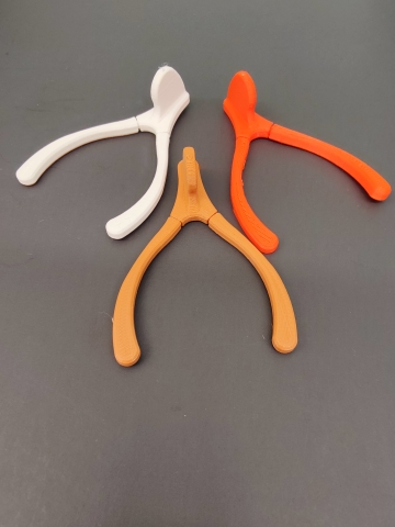 3D printed Wishbone