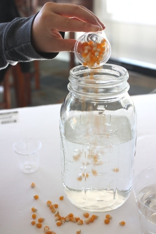 hand dumping corn in liqui