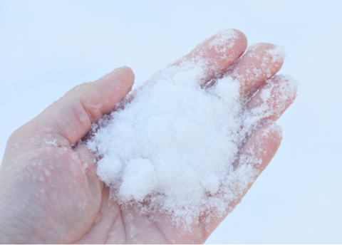 hand holding snow