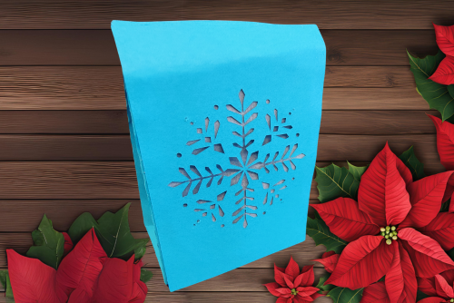 blue bag with snowflake cut out